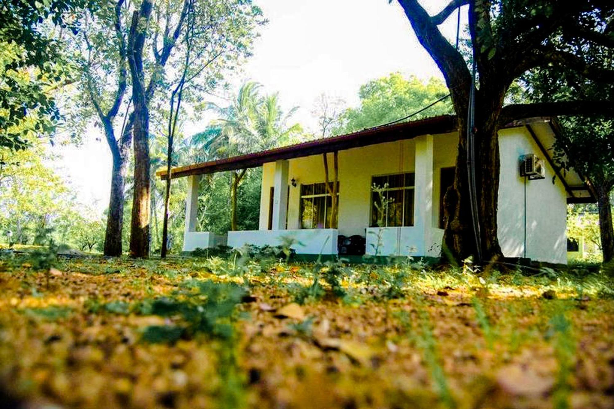 Banana Rest Sigiriya Bed & Breakfast Exterior photo