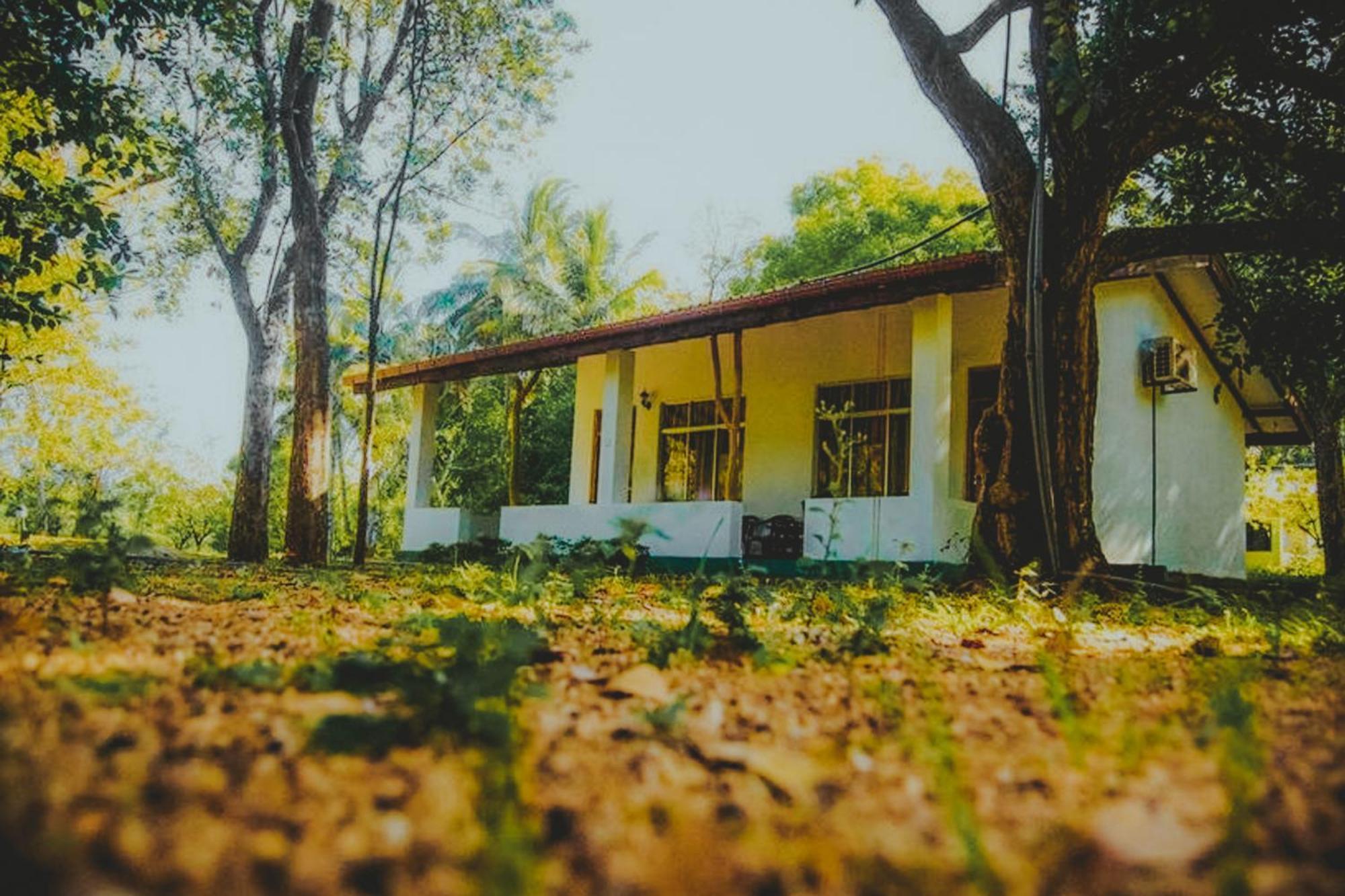 Banana Rest Sigiriya Bed & Breakfast Exterior photo