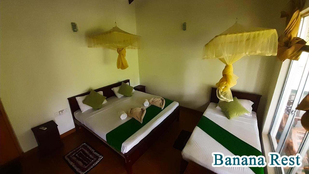 Banana Rest Sigiriya Bed & Breakfast Exterior photo